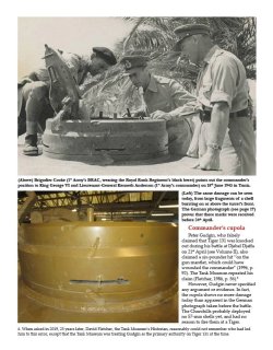 画像4: The Tiger Tank and Allied Intelligence Volume 3: Tiger 131: From Africa to Europe