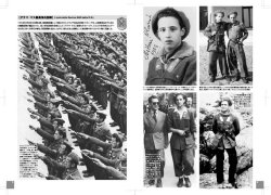 画像6: 伊太利堂　WWII イタリア軍装写真集-Vol.4