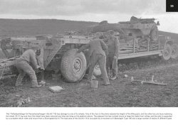 画像6: PeKo Publishing[PEK3209]戦場カメラマン 1.1