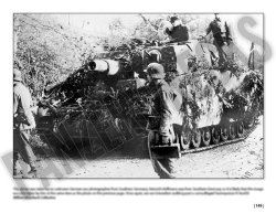 画像15: Combat History of Sturmpanzer-Abteilung 217