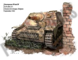 画像14: Combat History of Sturmpanzer-Abteilung 217