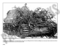 画像10: Combat History of Sturmpanzer-Abteilung 217