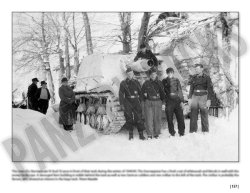 画像9: Combat History of Sturmpanzer-Abteilung 217