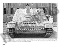 画像8: Combat History of Sturmpanzer-Abteilung 217