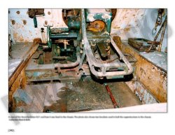 画像2: Combat History of Sturmpanzer-Abteilung 217