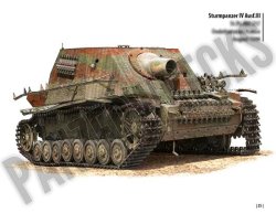 画像17: Combat History of Sturmpanzer-Abteilung 217