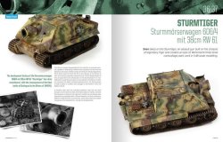 画像12: [TANKm-01]タンクモデラーVol.1 - I LOVE 48 -「1/48スケール戦車の仕上げ方」　