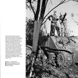 画像3: Wiking Sommer