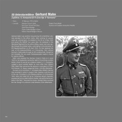 画像6: Wiking Sommer