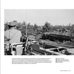 画像8: Wiking Sommer