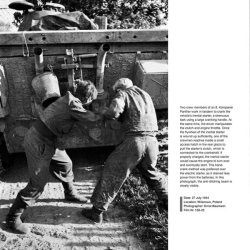 画像9: Wiking Sommer