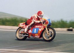 画像17: BrachModel[BM-VR07]1/12  ドゥカティTT2 ライダー：トニー・ラッター