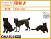 画像1: CHINO MODEL[CMAN35002]1/35 甲斐犬 (1)
