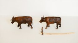 画像5: CHINO MODEL[CMMA-001]1/35 アジア牛