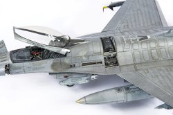 画像7: CANFORA[WINGSPAN_S1]ウィングスパンスペシャル1