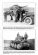 画像2: Capricorn Publications[HB05]チェコスロバキアの戦車 1930-1945フォトアルバム Part.2 38(t)戦車 (2)