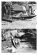 画像6: Capricorn Publications[HB13]ソ連の装甲車を運用したチェコスロバキア軍1943-1951 (6)