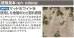 画像4: GSIクレオス[WP02]Mr.ウェザリングペースト マッドホワイト (4)