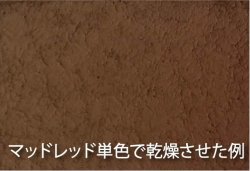 画像3: GSIクレオス[WP05]Mr.ウェザリングペースト マッドレッド