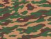 画像1: Crossdelta[MIL-35-038]1/35 MOUNTAIN FLORA (1)