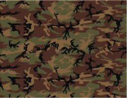 画像2: Crossdelta[MIL-12001]1/12 米軍ウッドランド
