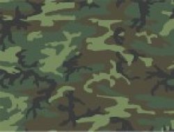 画像2: Crossdelta[MIL-35-035]1/35 ERDL LOWLAND