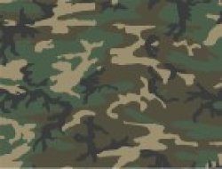 画像2: Crossdelta[MIL-35-036]1/35 ERDL HIGHLAND