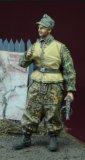 D-Day miniature studio[DD35183]1/35 WWII ドイツ武装親衛隊
