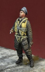 画像1: D-Day miniature studio[DD35191]1/35 WWII ドイツ空軍エースパイロット フランツ・スティグラー (1)