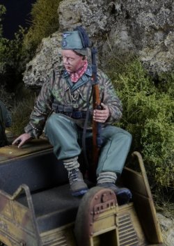 画像3: D-Day miniature studio[DD35288]1/35 WWII ドイツ 第13SS武装山岳師団「ハンジャール」ケッテンクラート乗員＃1 1943-45年(タミヤ用)