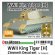 画像1: DEF.MODEL[DD48003]1/48 WWII ドイツ キングタイガー重戦車ヘンシェル砲塔 ツィンメリットデカールセット(タミヤ用) (1)