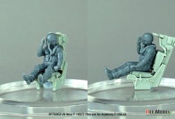 画像3: DEF.MODEL[DF72002]1/72 現用 アメリカ海軍 着座したF-14B/Dパイロットセット(アカデミーF-14B/D用 2体入)