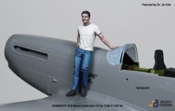 画像5: DEF.MODEL[JD48005]1/48 WWII アメリカ陸軍航空隊戦闘機 P-51Dマスタング デカール/フィギュアセット ムービーコレクションNo.12「トップガン」2022(タミヤ用)