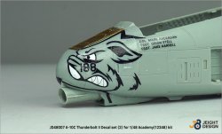 画像5: DEF.MODEL[JD48007]1/48 現用 アメリカ空軍 A-10Cデカールセット(2) 122FW/188FW(アカデミー用)
