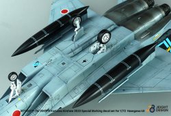 画像13: DEF.MODEL[JD72007]1/72 現用 航空自衛隊 F-15Jイーグル デカールセット 小松基地航空祭2022 マーヴェリック・スペシャル(ハセガワ用)