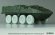 画像8: DEF.MODEL[DW72004]1/72 現用 アメリカ M1126ストライカーICV 自重変形タイヤセット XZLタイプ(アカデミー/ドラゴン用 DW72003リニューアル版) (8)
