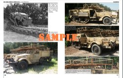 画像9: Desert Eagle[TWR-3]IDF廃棄車輌Part.3 廃棄されたIDFの特殊ハーフトラック