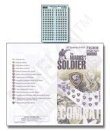 Echelon[P353008]ロシア内務省 国内軍&スペツナズ 徽章