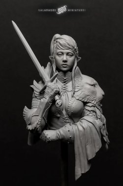 画像10: ガラパゴスミニチュア[GP-B010]1/10胸像 アライ 償いの聖堂騎士