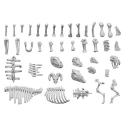 画像4: グリーンスタッフワールド[GSWD-12242]3Dプリントセット - 動物の骨 1:48
