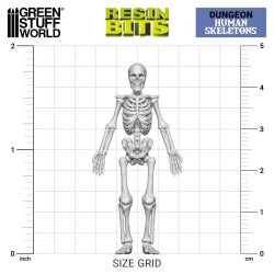 画像4: グリーンスタッフワールド[GSWD-12998]3Dプリントセット - 人間の骸骨 1:48