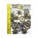 画像2: グリーンスタッフワールド[GSWS-9082] SteamPunk RUDDERs Beads 85gr (2)