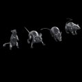 HDMODELS[HDM35161]1/35　rats