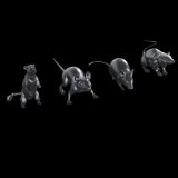 HDMODELS[HDM35161]1/35　rats