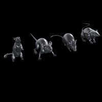 HDMODELS[HDM35161]1/35　rats