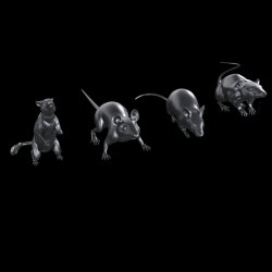 画像1: HDMODELS[HDM35161]1/35　rats