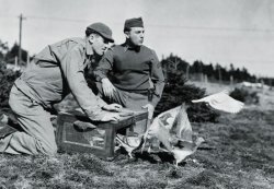画像3: Hauler[HLU35031]1/35WWII米 軍用伝書鳩とケージ