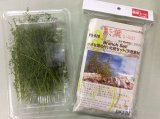 彩葉[MS-020V]小さな葉の付いた枝増量セット(天然素材)