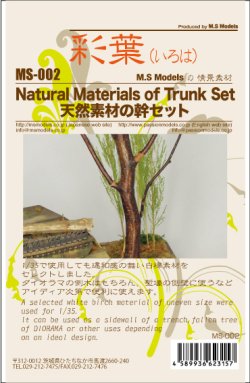 画像4: 彩葉[MS-002]天然素材の幹セット