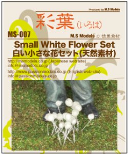 画像3: 彩葉[MS-007]白い小さな花セット(天然素材)